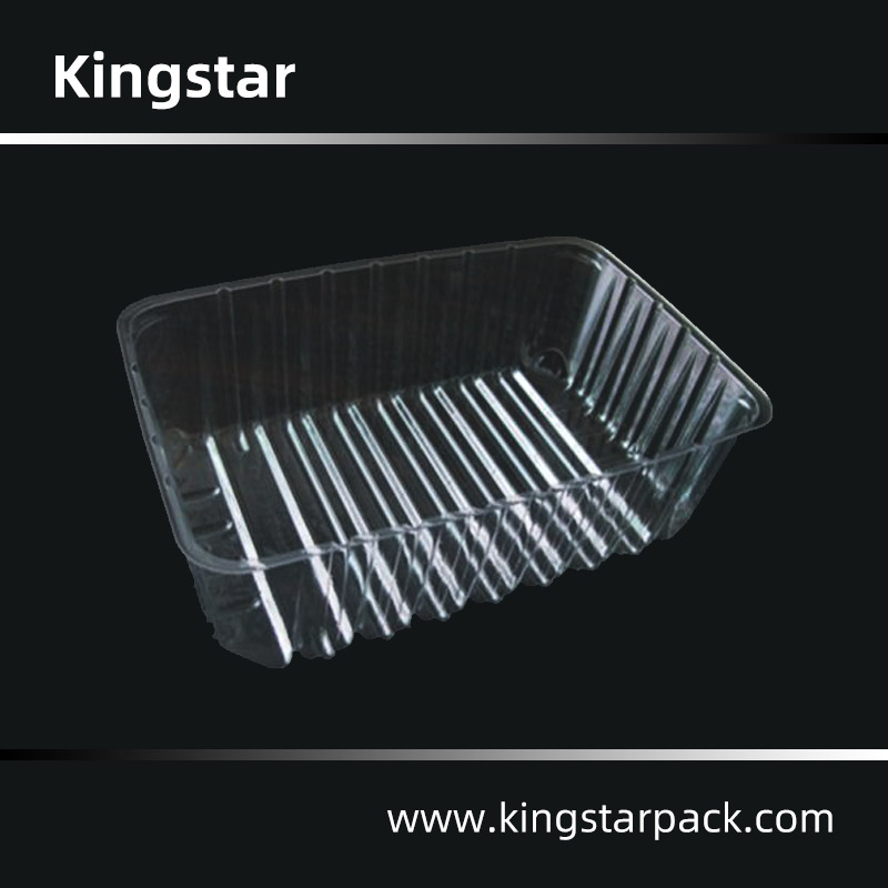 Disposable lunch box